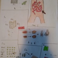 Bilderrätsel von Hannes Freiberg, 7a