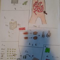 Bilderrätsel von Hannes Freiberg, 7a