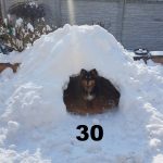 Helena Bießmann, 6d