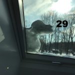 Laurens Niemöller, 6c