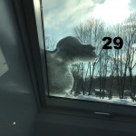 Laurens Niemöller, 6c