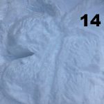 Amelie Sonneborn, 5a