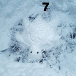 Carlotta Wiesing, 6d