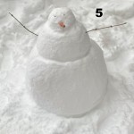 Sree Naga Harika Vattikuti, 10b